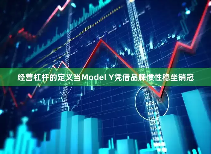 经营杠杆的定义当Model Y凭借品牌惯性稳坐销冠