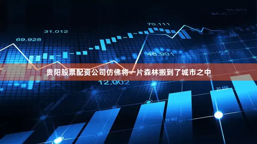 贵阳股票配资公司仿佛将一片森林搬到了城市之中