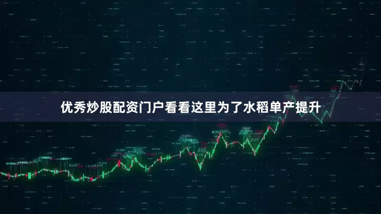 优秀炒股配资门户看看这里为了水稻单产提升
